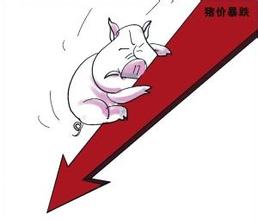 靈核網