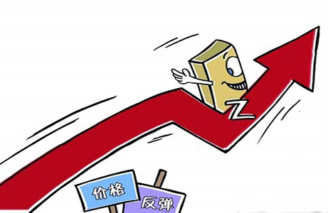 靈核網