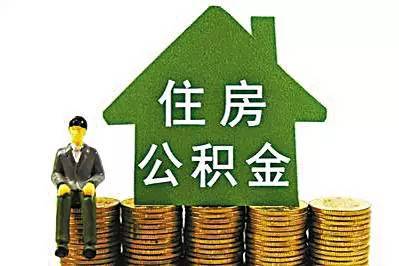 靈核網