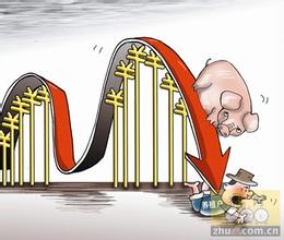靈核網
