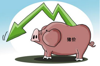 2015年6月國內生豬價格走勢分析
