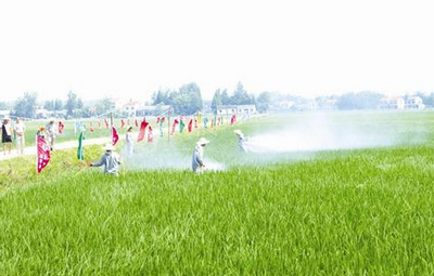 植保市場現狀