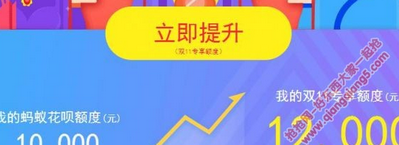 企業聚焦
