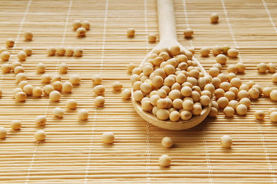 大豆價格行情