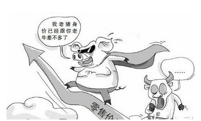 生豬價格市場行情