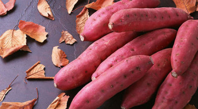 紅薯價格市場行情