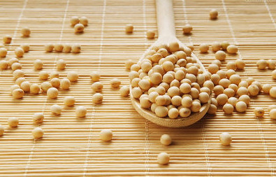 大豆價格市場行情