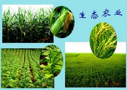生態農業,行業現狀,靈核網
