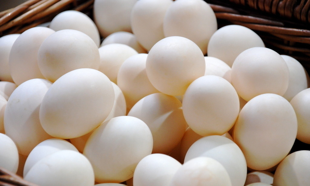 2015年08月05日安徽地區雞蛋價格最新市場動態