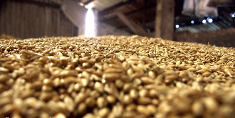 2015年8月20日全國各地豆粕價格最新市場行情走勢