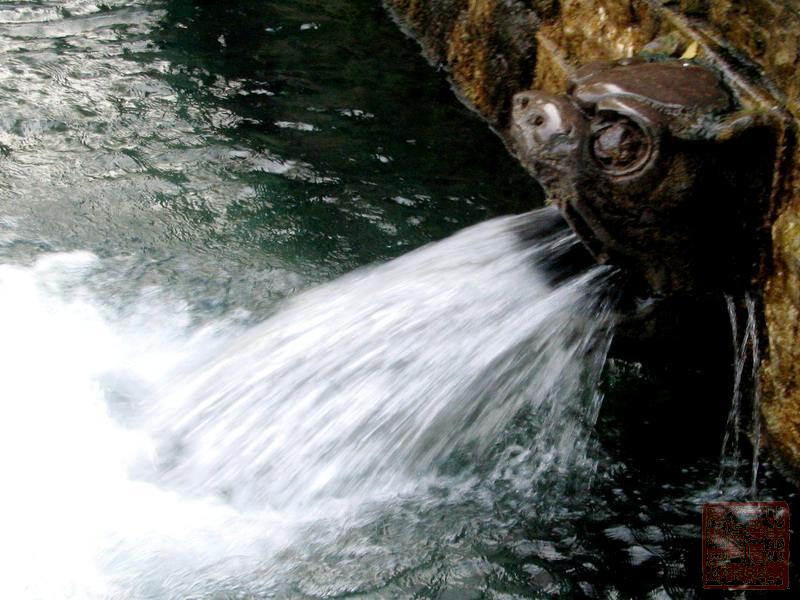 黑虎泉泉群：綿延古今的地下狂歡