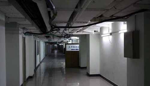 濟南回應太平間收防老鼠啃咬費事件已整改