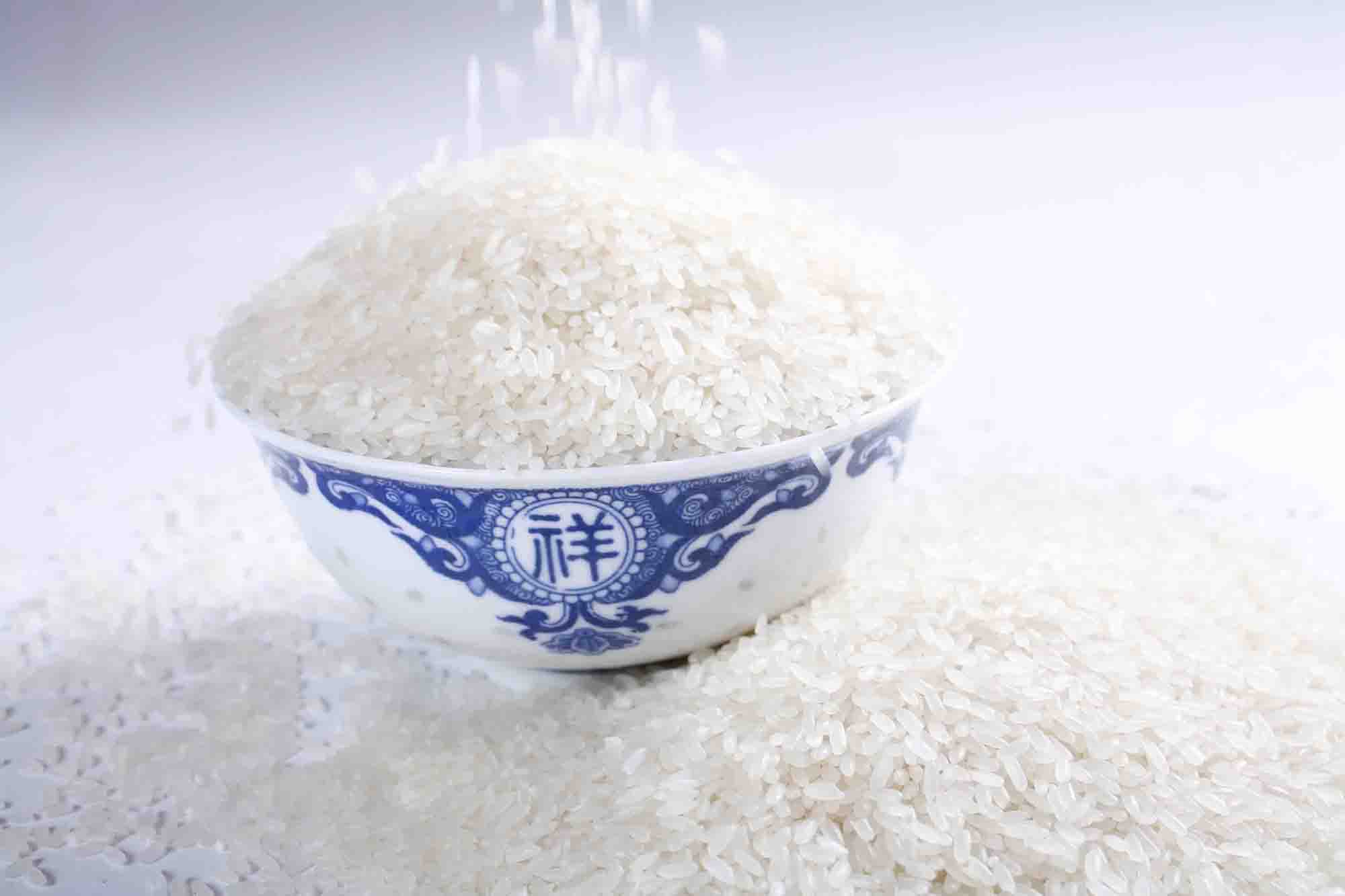 2015年10月8日全國各地大米價格最新市場行情預測