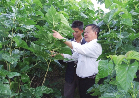 2015年中國農業“走出去”取得了不俗的成績