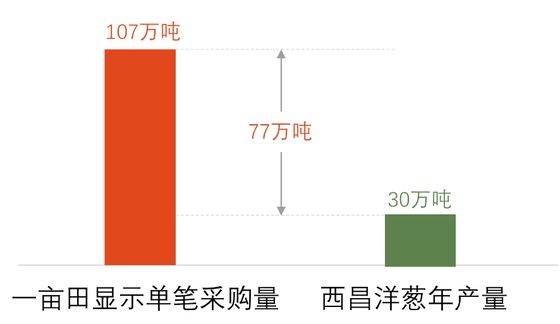 洋蔥