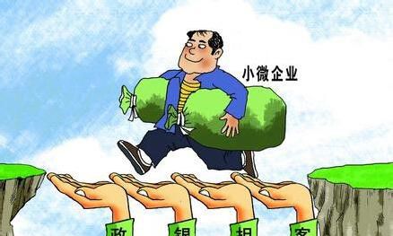 　　發展中小微企業貸款保證保險正當時