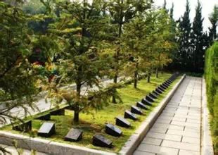 清明時節雨紛紛 不如上個環保墳——國內外綠色墓葬理念盤點