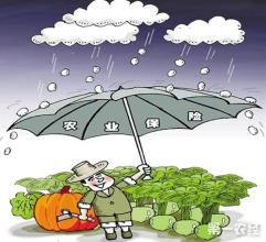 農業保險市場-靈核網