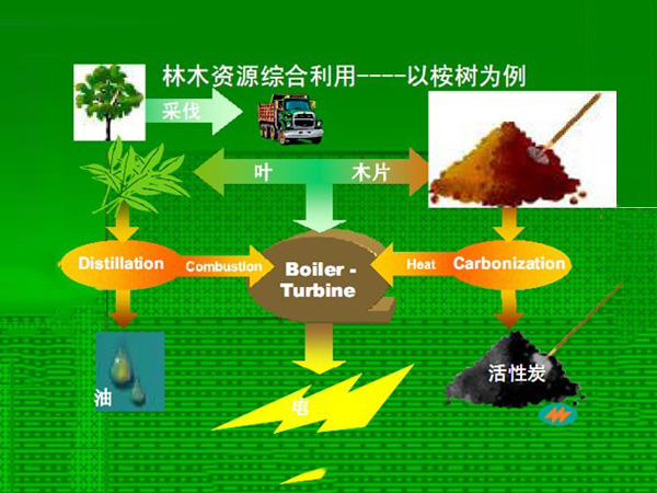 原油進口放量生物質能源發展潛力待挖掘
