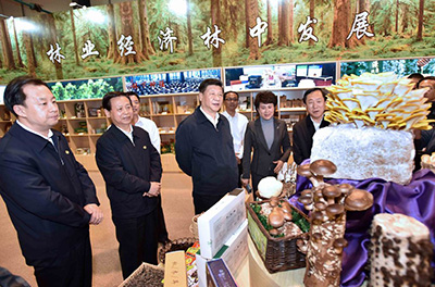 習近平考察黑龍江：轉型發展 民生為要