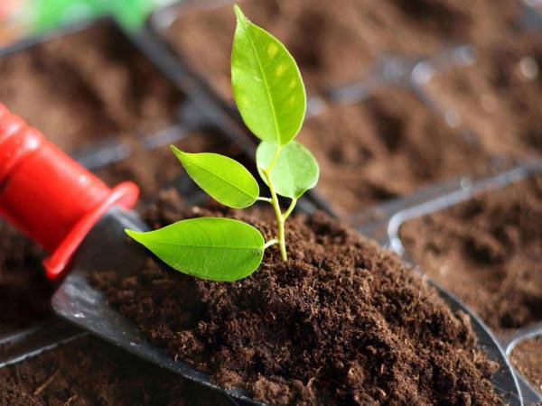 我國土壤修復行業盈利模式分析