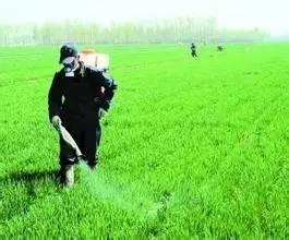 吡啶產業鏈變革引發除草劑行業大變動