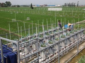 緩控釋肥白皮書首發 以綠色理念推動化肥行業轉型升級