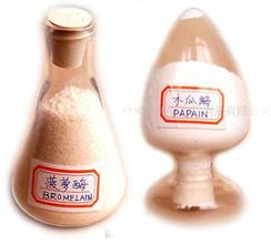 溢多利:酶制劑行業龍頭布局生物醫藥,打造世界領先的生物技術企業