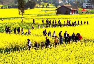 鄉村旅游助徐州農民創業致富