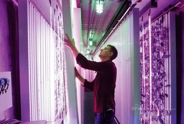 國內外LED植物工廠發展情況如何？