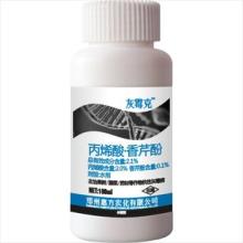 食物里有五種天然殺菌劑