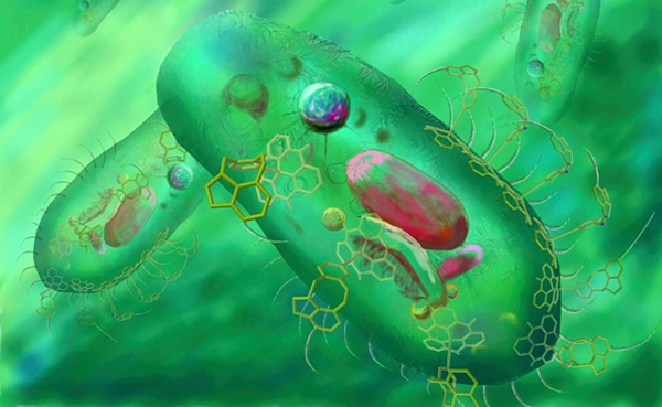 【探索】納米傳感器、芯片為醫療帶來的幾大黑科技