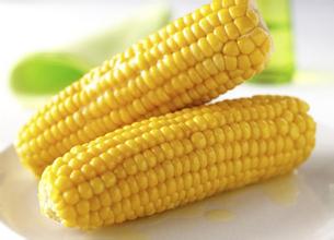 2016年8月15日黑龍江豆粕價格最新行情