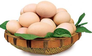 2016年11月21日上海雞蛋價格市場行情