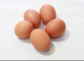 2016年11月22日北京雞蛋價格市場行情