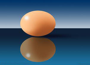 2016年12月12日北京雞蛋價格市場行情