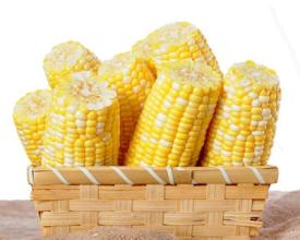 2016年12月22日山東玉米價格行情