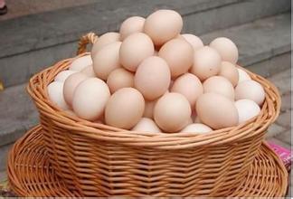 2016年12月26日北京雞蛋價格市場行情