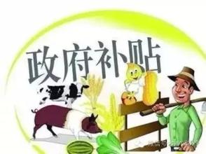 2017年養殖類補貼標準出爐！養殖業補貼申報條件