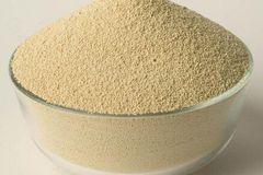 2017年1月19日河南豆粕價格行情