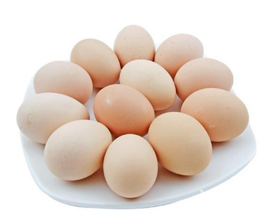 2017年2月4日上海雞蛋價格市場行情