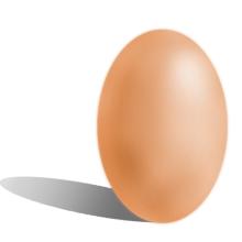 2017年2月8日上海雞蛋價格市場行情