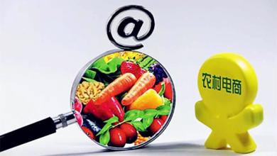 首次將農村電商單列