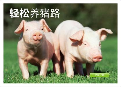 養豬補貼