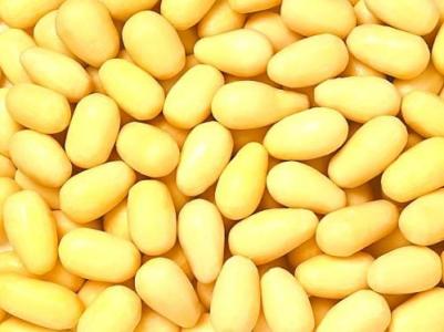 2017年2月15日遼寧豆粕價格行情