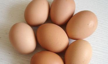 2017年2月27日北京雞蛋價格市場行情