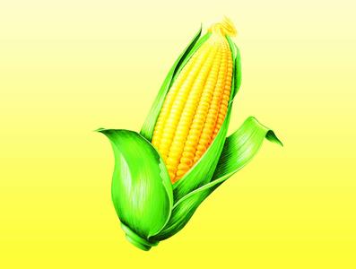 2017年2月27日山東玉米價格行情