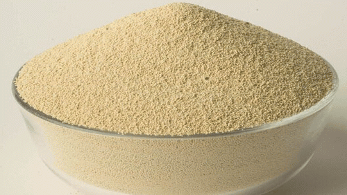 2017年3月3日河南豆粕價格行情