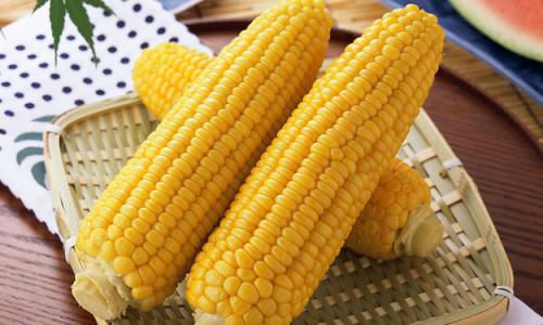 2017年3月7日湖南玉米價格行情