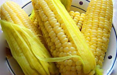 2017年3月23日湖南玉米價格行情